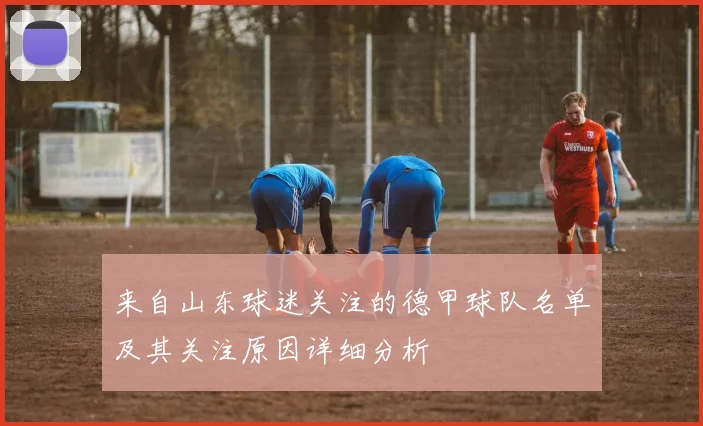 来自山东球迷关注的德甲球队名单及其关注原因详细分析