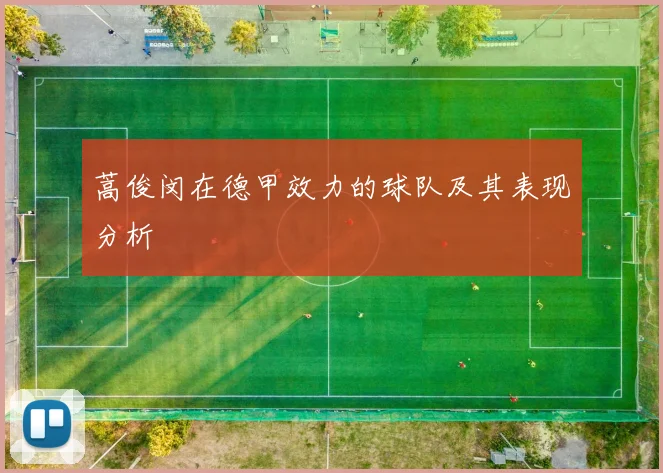 蒿俊闵在德甲效力的球队及其表现分析