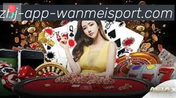 未来规划