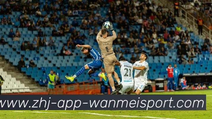 多媒体互动体验